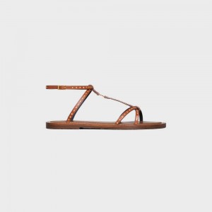 Celine Taillat Düz With Studs In Calfskin - Vegetal Tanning & Studs Sandalet Kahverengi | CL-592587