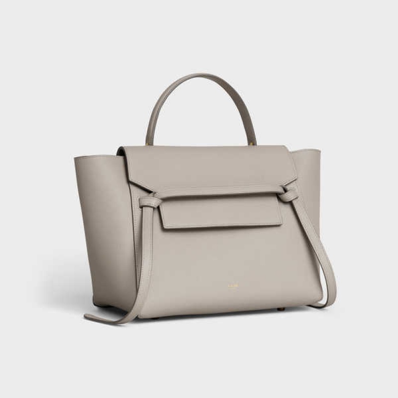 Celine Mini In Grained Calfskin Bel Çantası Açık Gri Kahverengi | CL-593066